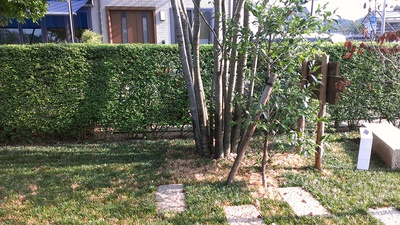 2012-08-17 07.51.32.jpg